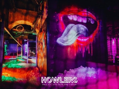 Howlers Big VIP Package in Newcastle